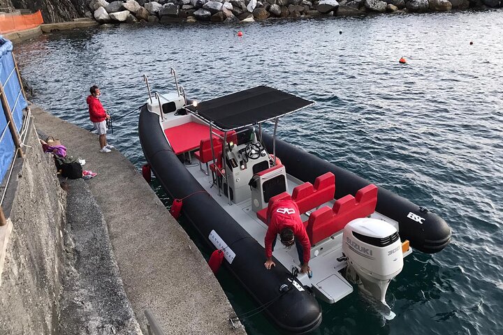 From La Spezia : boat trip in Cinque Terre, with free time ashore
