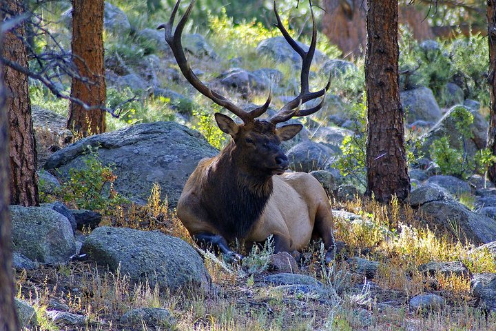 Creative Soul Scavenger Hunt of Steamboat Springs
