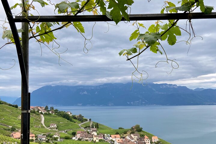 Vine Stories: Lavaux & Lutry wine walk
