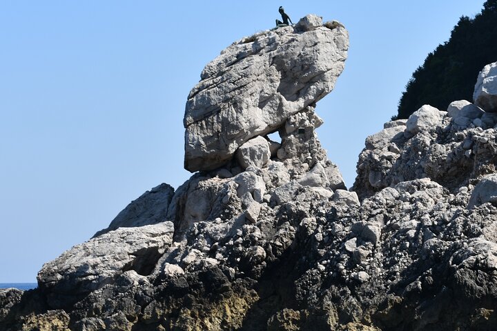 Ultimate Capri & Blue Grotto Day Tour from Naples or Sorrento