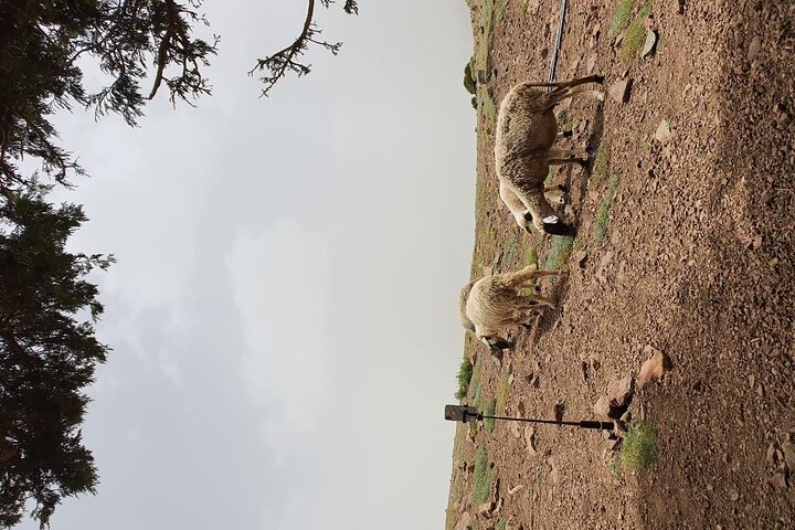 two days valley trek in the Atlas mountains