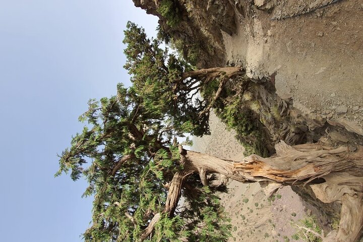 two days valley trek in the Atlas mountains