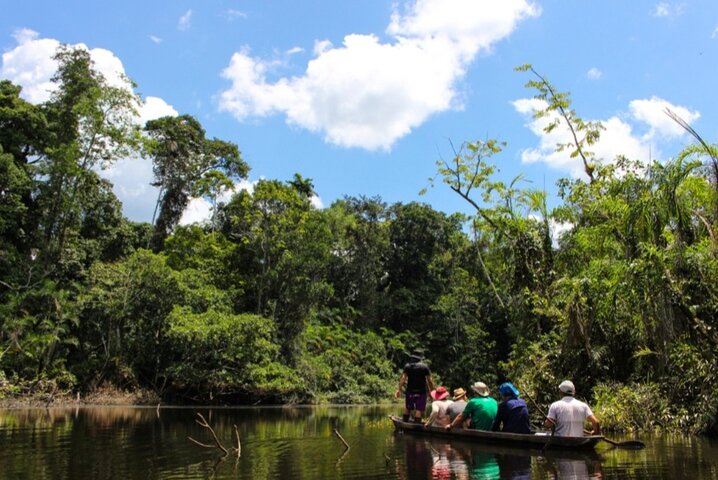 Deep Yasuni Wildlife Experience