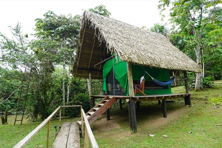 Deep Yasuni Wildlife Experience