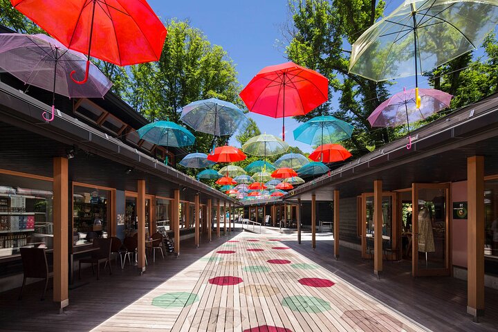 Karuizawa Customized Half-Day Tour with Licensed Local Guide