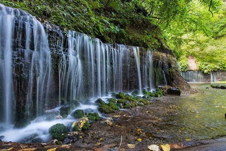 Karuizawa Customized Half-Day Tour with Licensed Local Guide