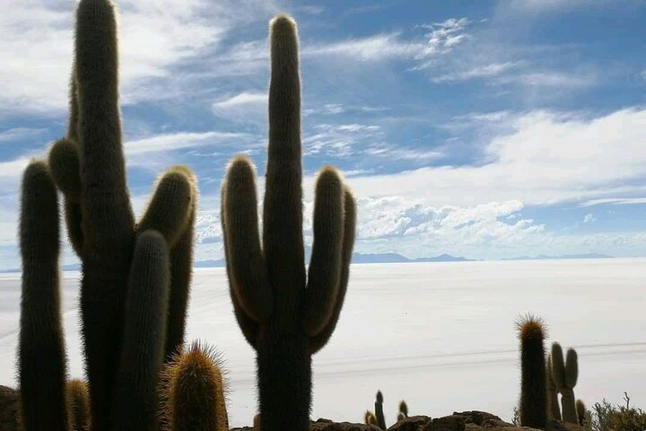 Luxury Uyuni Salt Flats 3D 2N Tour From La Paz by Air