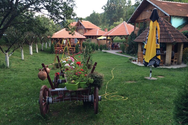 Stara Plana Day Tour