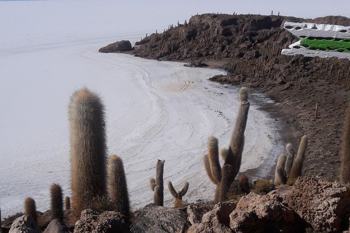 Visit to Uyuni Salt Flats from La Paz Bolivia by Bus
