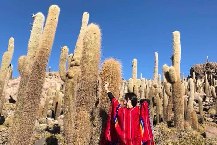 Visit to Uyuni Salt Flats from La Paz Bolivia by Bus