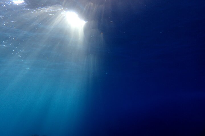 Let's enjoy Scuba diving in Izu Peninsula for certificate Diver