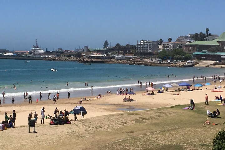 Mosselbay Day tour
