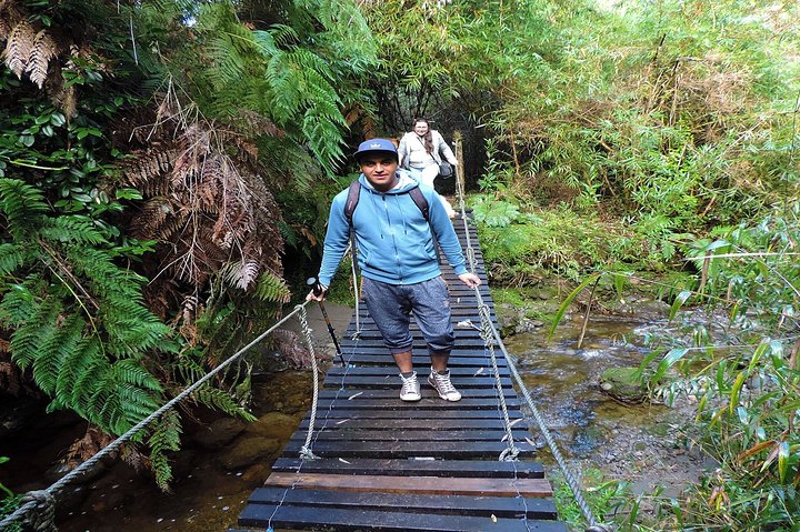 Coastal Nature Adventure in Chiloe
