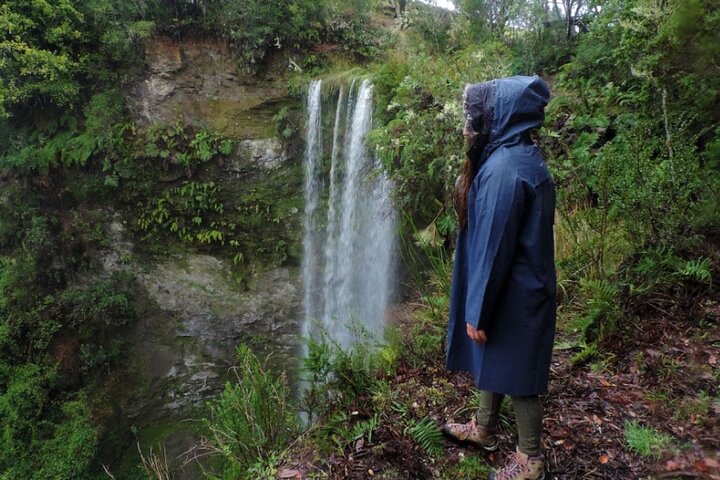 Coastal Nature Adventure in Chiloe