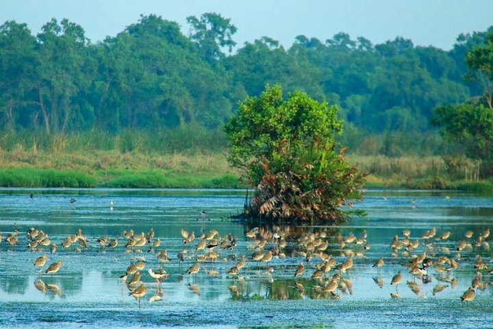 Birdwatching Trek in Anawilundawa Sanctuary from Kalpitiya