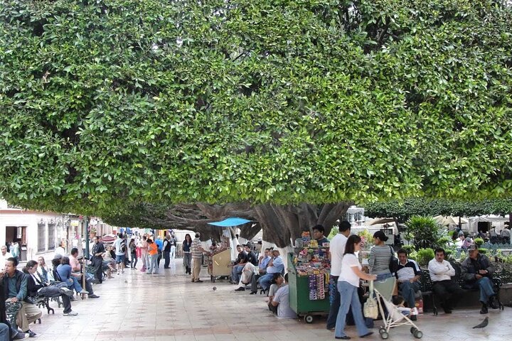 Private History & City Walking Tour of Guanajuato