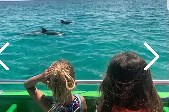 Dolphin Cruise in Destin FL
