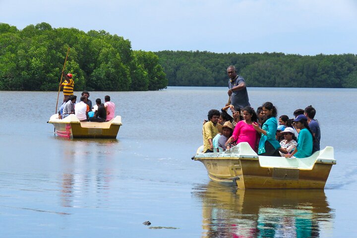 Mangrove Forest Boat Tour in Kalpitiya