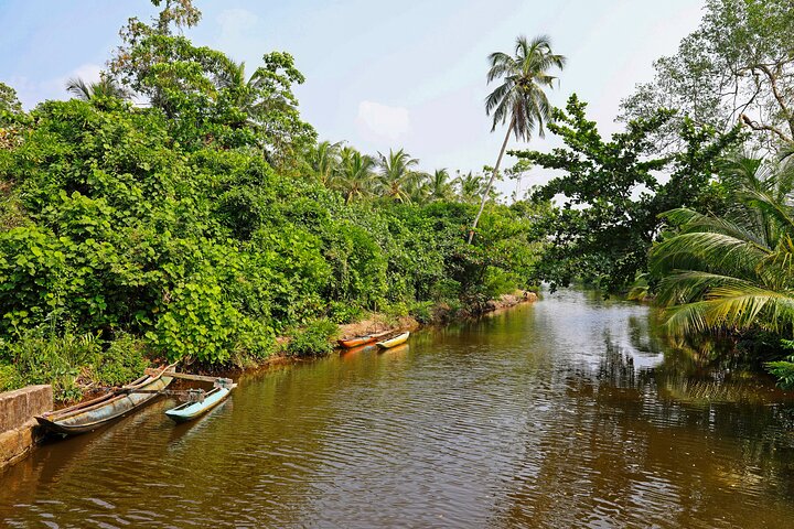 Mangrove Forest Boat Tour in Kalpitiya