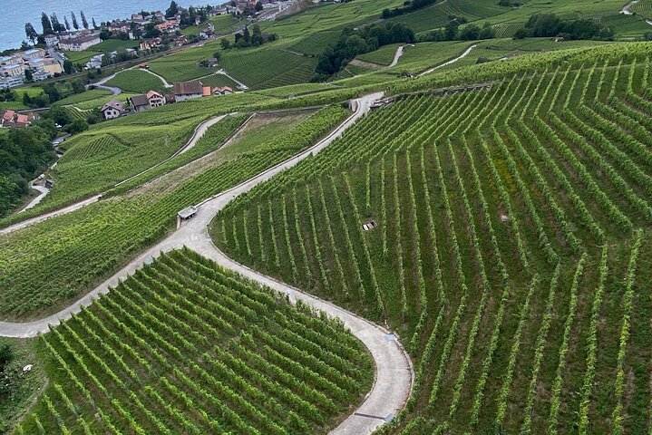 Vine Stories: Lavaux & Lutry wine walk