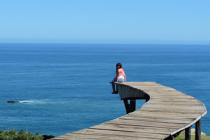 Dock of Souls Trekking Tour in Chiloe