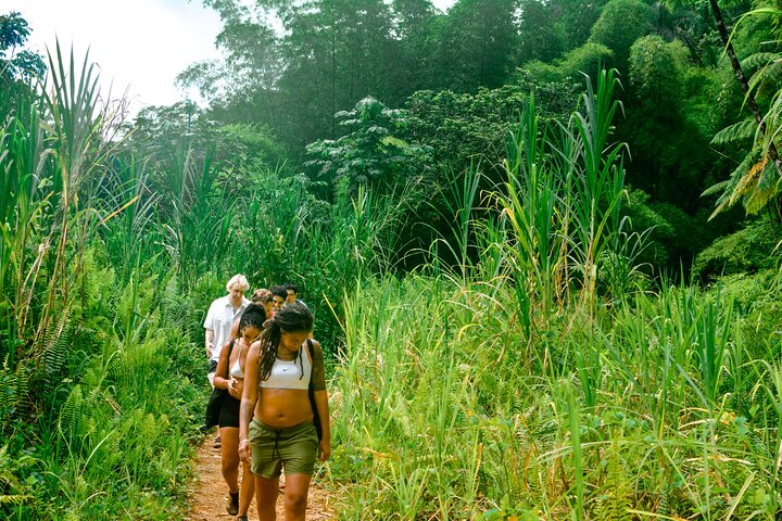 Small-Group El Yunque Waterfall & Waterslides with Pickup