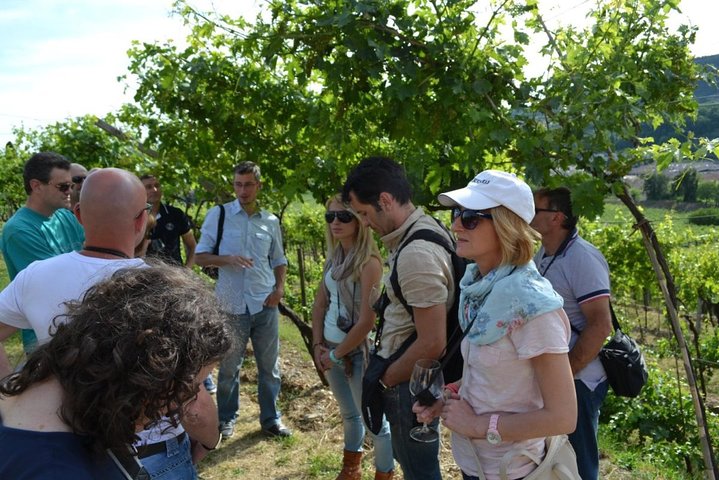 day Trip from Verona to Lake Garda