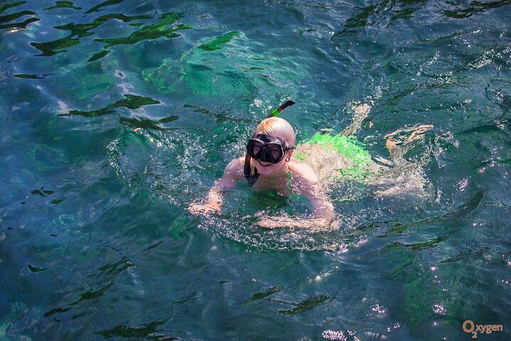 Snorkel Trip to Koh Nangyuan and Bays of Koh Tao By The Oxygen