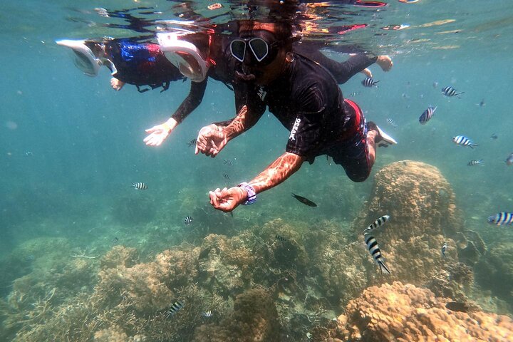 Snorkel Trip to Koh Nangyuan and Bays of Koh Tao By The Oxygen