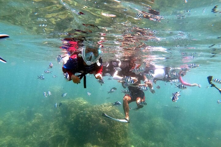 Snorkel Trip to Koh Nangyuan and Bays of Koh Tao By The Oxygen