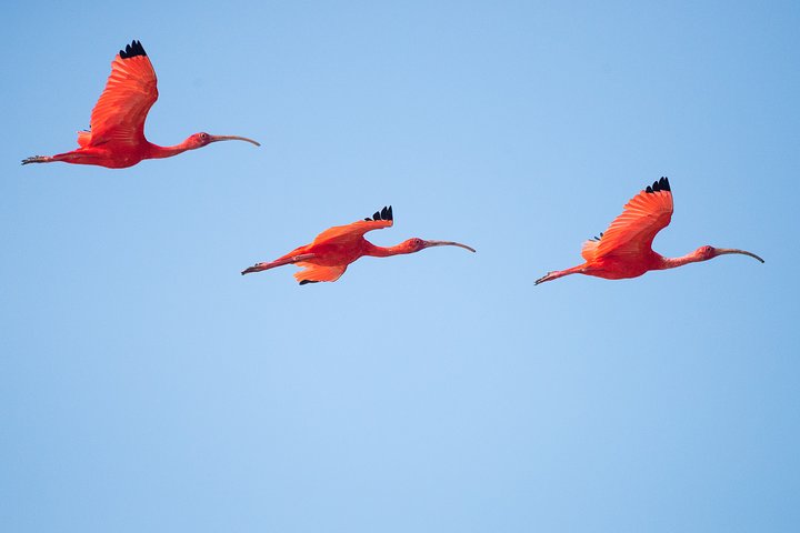 Birdwatching in Chundikulam National Park