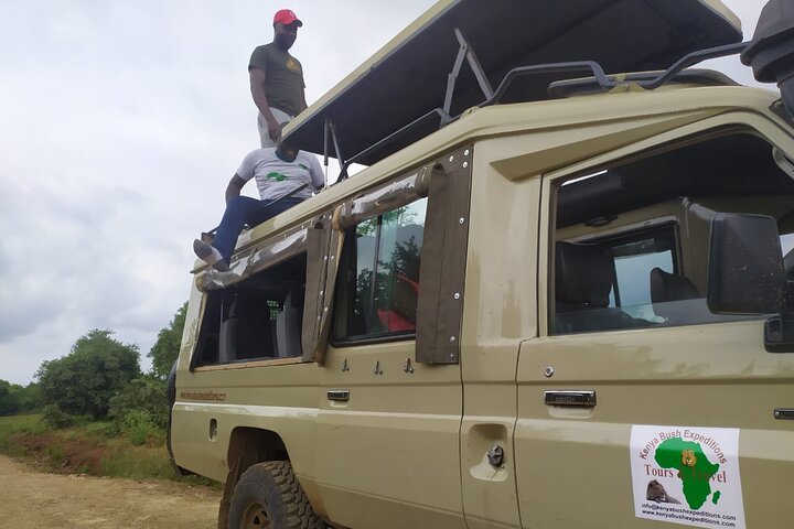 Samburu National Park Day Tour Nyeri