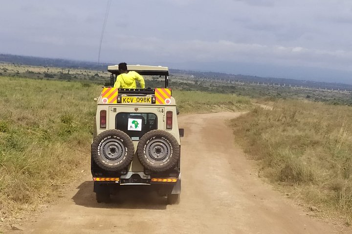Safari Tour; Nairobi National Park