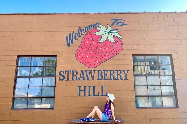 Strawberry Hill and Downtown KCK Hike