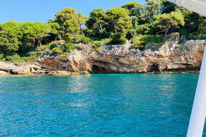 Exclusive ride in Solar Catamaran - Private
