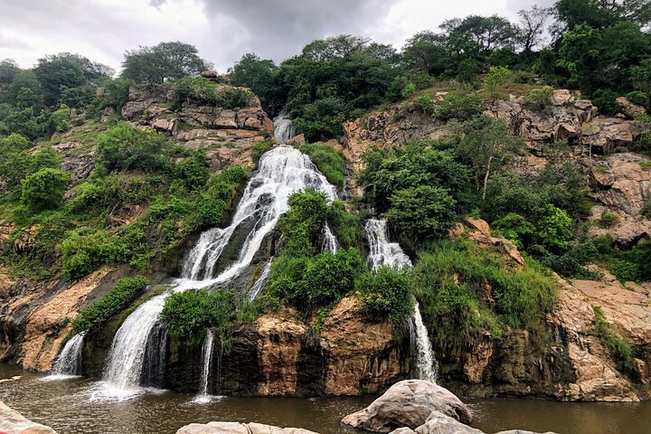 Nature Trails of Mysore (Guided Half Day City Sightseeing Tour)