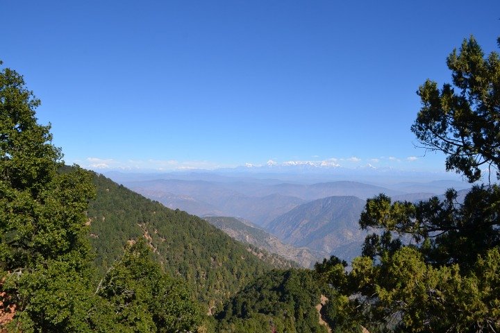 Nainital Nature Trekking Experience (4 Hours guided experience)