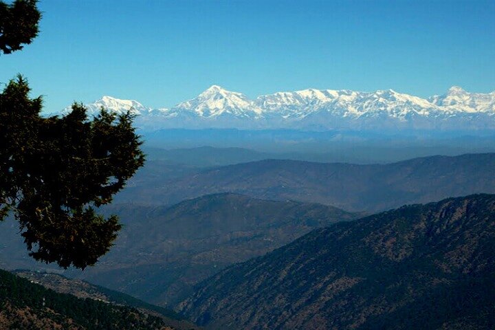 Nainital Nature Trekking Experience (4 Hours guided experience)