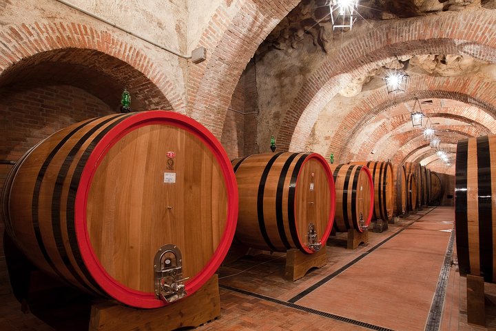 Montepulciano: Winery Tour & Tasting Experience