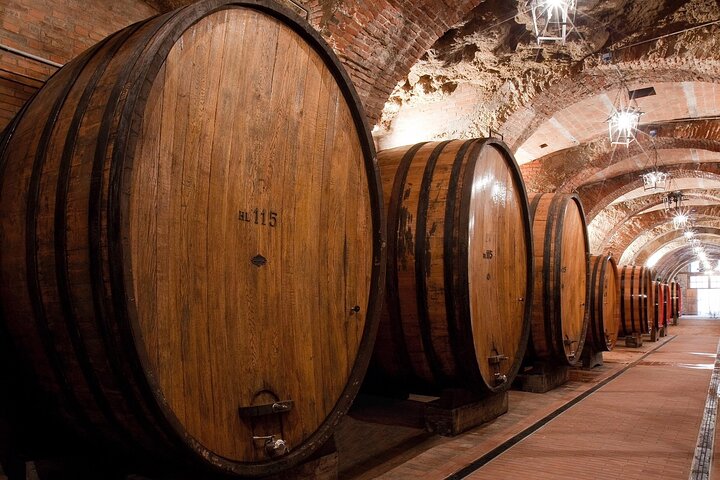 Montepulciano: Winery Tour & Tasting Experience