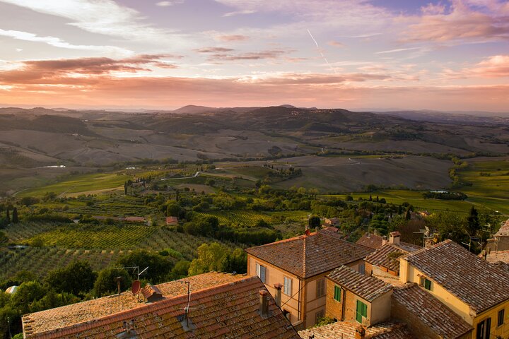 Montepulciano: Winery Tour & Tasting Experience