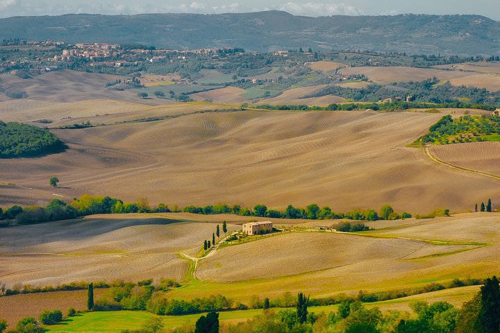 Montepulciano: Winery Tour & Tasting Experience