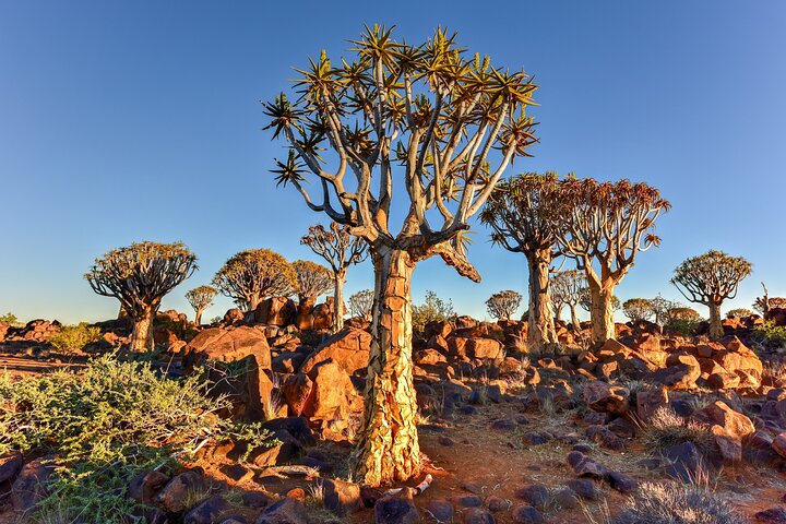 7 Day Southern Namibia and Sossusvlei Camping Safari