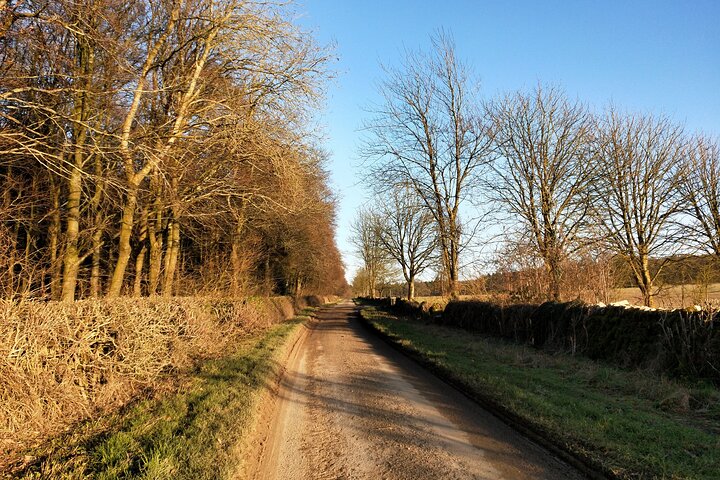Cotswolds Electric Bike One Day Private Tour starts near Oxford