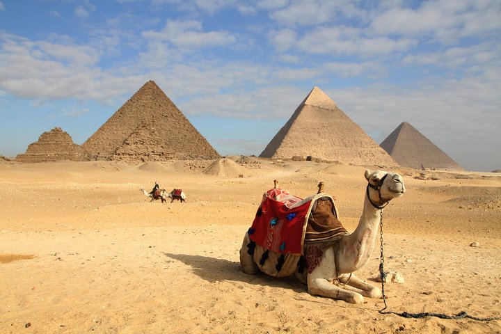 Private Transfer from El Alamein to El Cairo (CAI) Airport