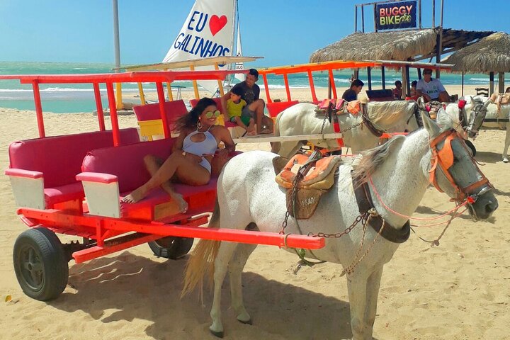 Tour To Galinhos Beach