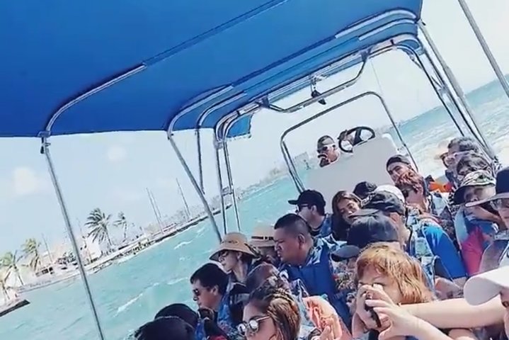 Excursion to Jhony Cay, Aquarium, Bay Tour and Mangroves.