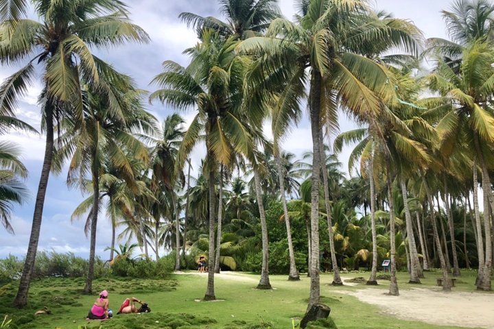 Excursion to Jhony Cay, Aquarium, Bay Tour and Mangroves.