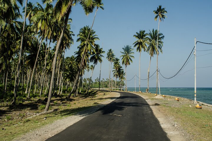 Nature Trails of Portblair (3 Hours Guided Walking Tour)
