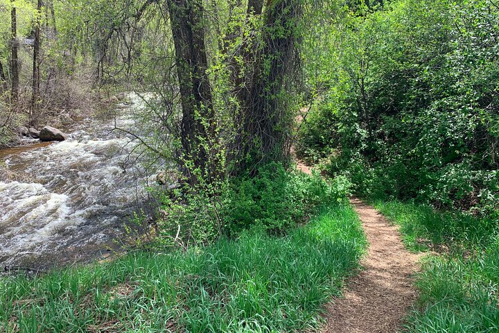 Leisure Hike - East Aspen Hunter Creek